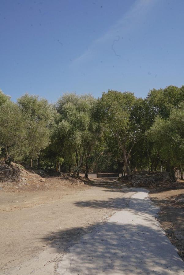 Villa Pepucho 3 Almodóvar del Río Dış mekan fotoğraf